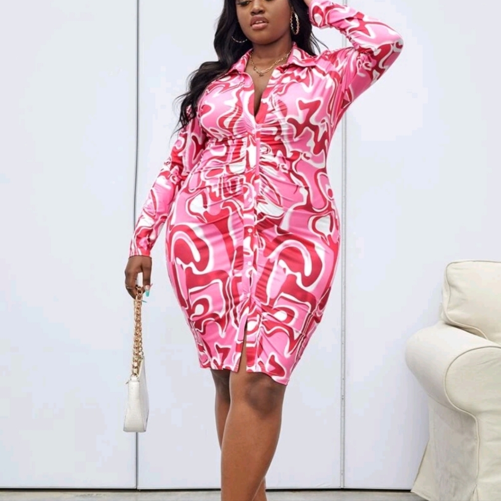 NEW Plus Size paisley print button down dress